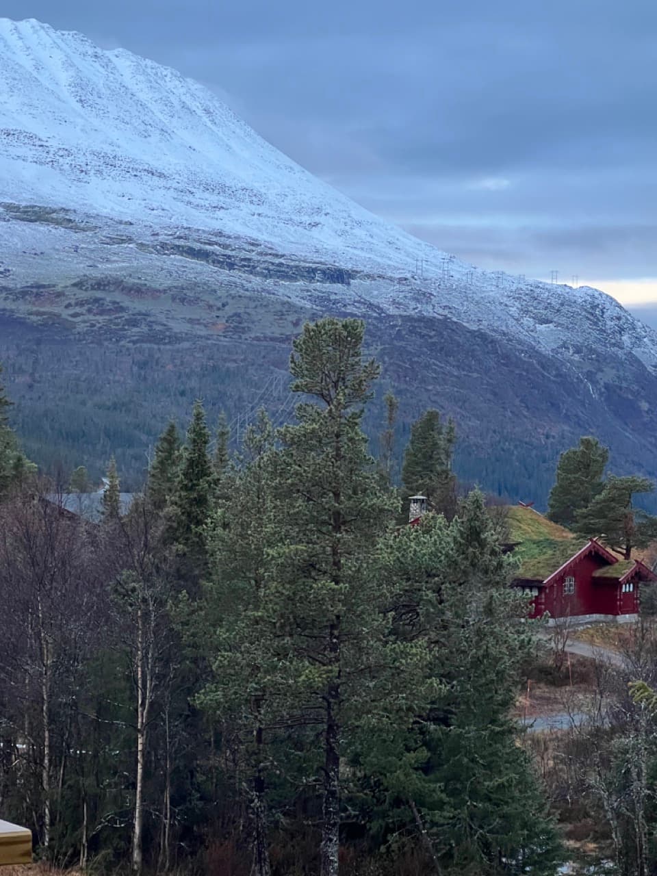 Nordic Still
